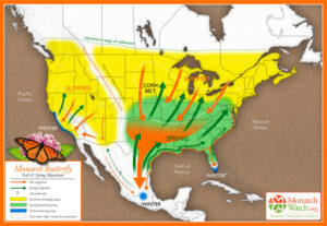 The monarch butterflies range is absolutely enormous, travelling from southern Canada to central Mexico over multiple generations. Here you can see their breeding map. 