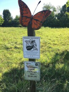 Once you've planted your Milkweed and created your Monarch Waystation,  You need to certify it through Monarch Watch, an organization that keeps registry of Monarch Waystations. You get a sign to place in your garden to bring awareness.